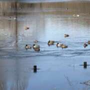 ヒメ日記 2026/03/21 21:41 投稿 りこ 熟女の風俗最終章 宇都宮店