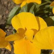 ヒメ日記 2026/03/22 08:42 投稿 りこ 熟女の風俗最終章 宇都宮店