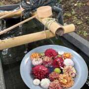 ヒメ日記 2026/04/02 17:13 投稿 りこ 熟女の風俗最終章 宇都宮店