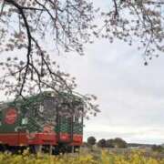 ヒメ日記 2026/04/03 07:51 投稿 りこ 熟女の風俗最終章 宇都宮店