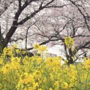 ヒメ日記 2026/04/03 19:51 投稿 りこ 熟女の風俗最終章 宇都宮店