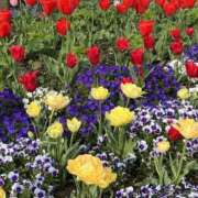 ヒメ日記 2026/04/10 15:51 投稿 りこ 熟女の風俗最終章 宇都宮店