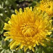 ヒメ日記 2026/04/12 08:31 投稿 りこ 熟女の風俗最終章 宇都宮店