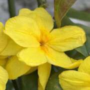 ヒメ日記 2026/04/22 08:31 投稿 りこ 熟女の風俗最終章 宇都宮店