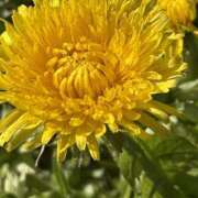 ヒメ日記 2026/04/22 17:02 投稿 りこ 熟女の風俗最終章 宇都宮店