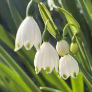 ヒメ日記 2026/04/24 15:41 投稿 りこ 熟女の風俗最終章 宇都宮店