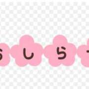 ヒメ日記 2026/04/13 18:33 投稿 つぼみ 柏人妻花壇