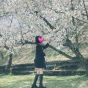 ヒメ日記 2026/04/16 18:29 投稿 有村むぎ Aroma The Rich