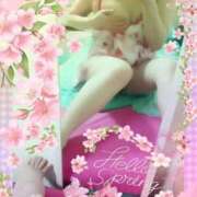 ヒメ日記 2026/03/25 12:43 投稿 いちご 熟女の風俗最終章 新潟店