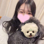 ヒメ日記 2026/04/04 19:56 投稿 のん パイセン