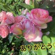 ヒメ日記 2026/04/12 01:18 投稿 森下満里奈 お姉さんCLUB