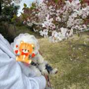 ヒナタ お久しぶりです😊 バニーコレクション秋田店