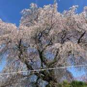 ヒメ日記 2026/04/04 18:39 投稿 望月みお 京都プルプルエステ専門店