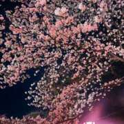 ヒメ日記 2026/04/09 09:01 投稿 みお スチュワーデス