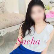 ヒメ日記 2026/04/07 22:03 投稿 さえは ハピネス札幌