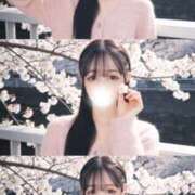 ヒメ日記 2026/03/26 21:05 投稿 れいか 姫コレクション