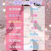 ヒメ日記 2026/03/20 17:01 投稿 ことり ドリーム水戸