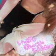 ヒメ日記 2026/05/31 09:29 投稿 ゆきの 小岩人妻花壇
