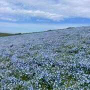 ヒメ日記 2026/05/09 13:12 投稿 ゆきの 華椿（YESグループヨコハマ）