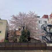 ヒメ日記 2026/04/04 18:16 投稿 ゆきな ジュエルズ