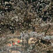 ヒメ日記 2026/04/07 08:16 投稿 ゆきな ジュエルズ