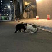 ヒメ日記 2026/04/19 11:46 投稿 ゆきな ジュエルズ