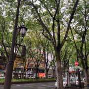 ヒメ日記 2026/04/29 11:31 投稿 ゆきな ジュエルズ