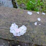 ゆうか 明日🌸 イエスグループ熊本 TSUBAKI(ツバキ)