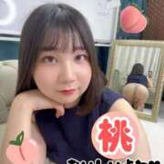 ヒメ日記 2026/08/09 22:19 投稿 菜都香(なつか) Salon du M-えっちなお姉さんのM性感デリバリー-五反田店