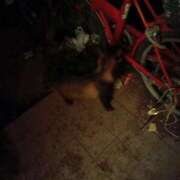 ヒメ日記 2026/03/28 19:06 投稿 草鹿（くさか） 熟女の風俗最終章　鶯谷店