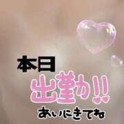 ヒメ日記 2026/04/28 01:49 投稿 えみり 香川高松ちゃんこ