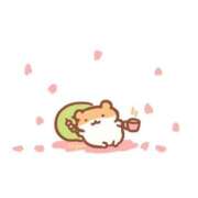 ヒメ日記 2026/03/29 16:53 投稿 れんか先生 美少女制服学園CLASSMATE　五反田校