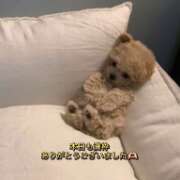 ヒメ日記 2026/04/11 21:54 投稿 れんか先生 美少女制服学園CLASSMATE　五反田校