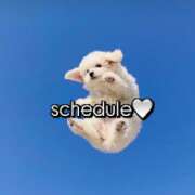 ヒメ日記 2026/04/21 19:55 投稿 れんか先生 美少女制服学園CLASSMATE　五反田校