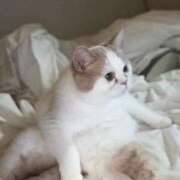 久世せら 28日〰️出勤です🙇🏻‍♀️´- THE痴漢電車.com