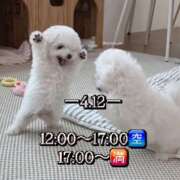 ヒメ日記 2026/04/12 11:57 投稿 れんか先生 クラスメイト