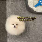 ヒメ日記 2026/04/24 16:42 投稿 れんか先生 クラスメイト