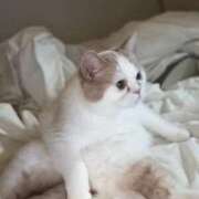 家世良せら 28日〰️出勤です🙇🏻‍♀️´- 全裸美女からのカゲキな誘惑