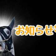 ヒメ日記 2026/08/05 13:50 投稿 サオリ 人妻生レンタルNTR
