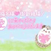 ヒメ日記 2026/08/09 23:50 投稿 サオリ 人妻生レンタルNTR