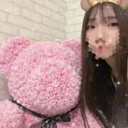 ヒメ日記 2026/03/23 10:30 投稿 さなみ 京都出張メンズエステChou Chou（シュシュ)