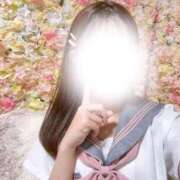 ヒメ日記 2026/07/12 19:58 投稿 ☆さくらこ☆ ◆プラウディア◆AAA級素人娘在籍店