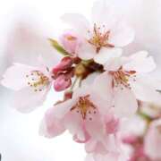 ヒメ日記 2026/03/25 08:55 投稿 水野ゆな 人妻家久喜