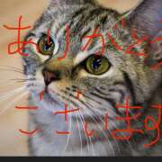 ヒメ日記 2026/04/21 15:57 投稿 水野ゆな 人妻家久喜