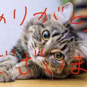 ヒメ日記 2026/04/21 16:01 投稿 水野ゆな 人妻家久喜