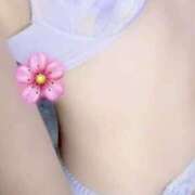 ヒメ日記 2026/04/06 18:44 投稿 すみれ マダムハンズ