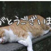 ヒメ日記 2026/04/09 16:07 投稿 水野ゆな 人妻家 古河・小山店