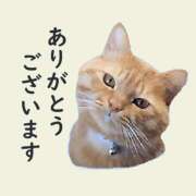 ヒメ日記 2026/04/09 16:11 投稿 水野ゆな 人妻家 古河・小山店