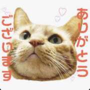 ヒメ日記 2026/04/23 16:42 投稿 水野ゆな 人妻家 古河・小山店