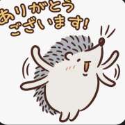 ヒメ日記 2026/04/23 16:48 投稿 水野ゆな 人妻家 古河・小山店